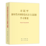 習(xí)近平新時(shí)代中國(guó)特色社會(huì)主義思想學(xué)習(xí)綱要大字 圖書批發(fā)